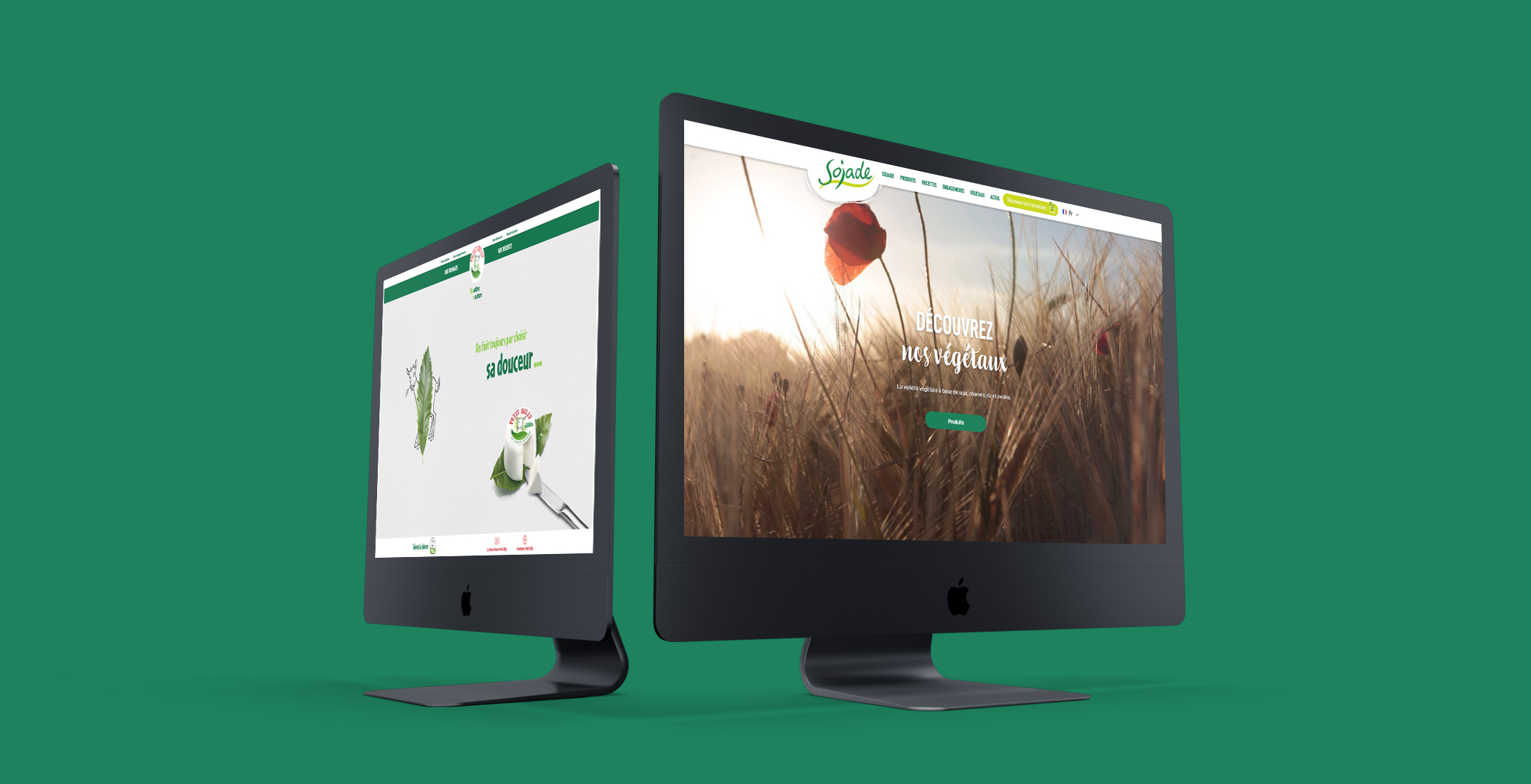 Création des sites internet de Sojade et de "Le Petit Billy"