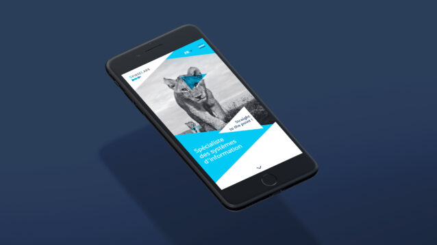 IPhone-Spikeelabs