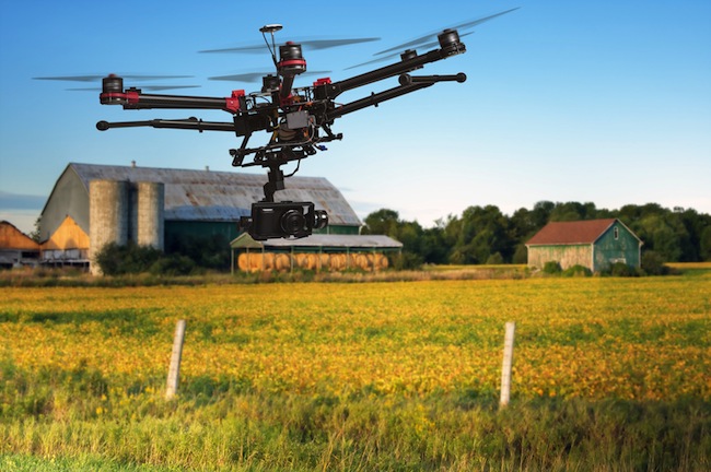 drone-agriculture