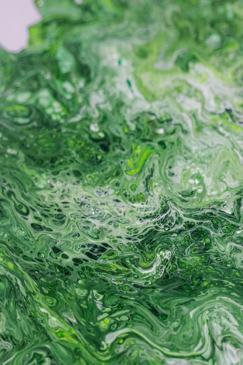 Cosmétiques à base d'algues