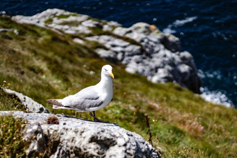 bretagne