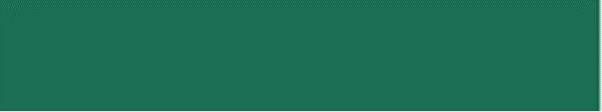 Couleur-vert-sapin