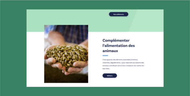 Aperçu du site Internet AFCA CIAL développé par Concept Image, agence web et communication à Rennes