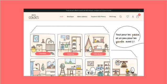 Page-Accueil-Minicolocs