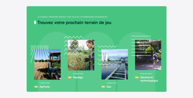 Section du site internet présentant les 4 secteurs de l'établissement