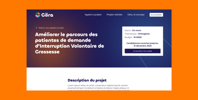page projet webdesign site internet gora par l'agence rennaise concept image