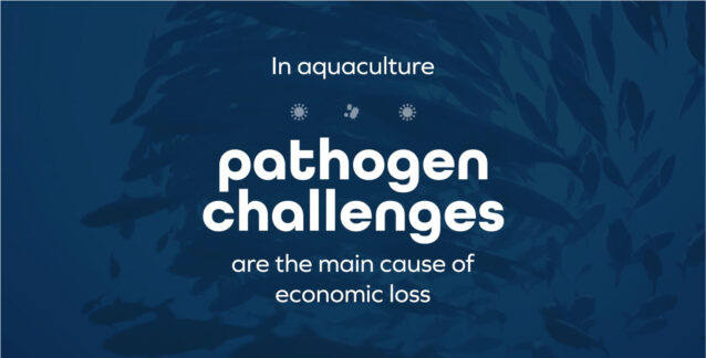 video-motion-mixscience-aquaculture