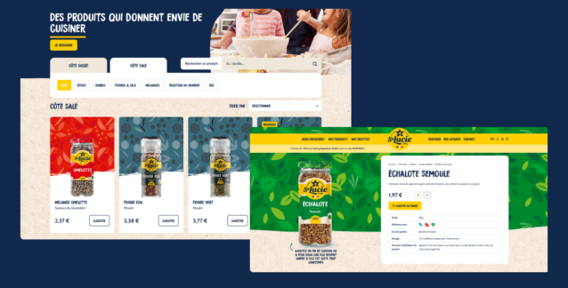 Sainte-Lucie-site-web-desktop-concept-image